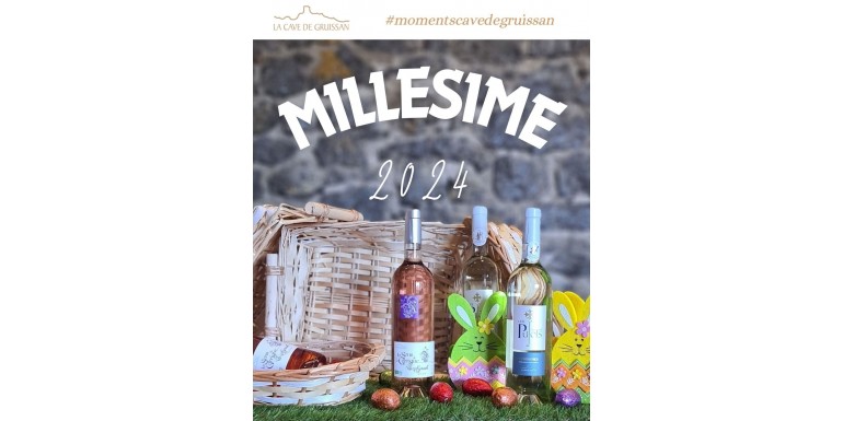 Nouveau millésime - Syrah et Les Pujots blanc