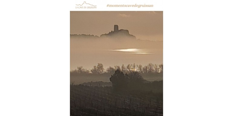 Gruissan dans le brouillard