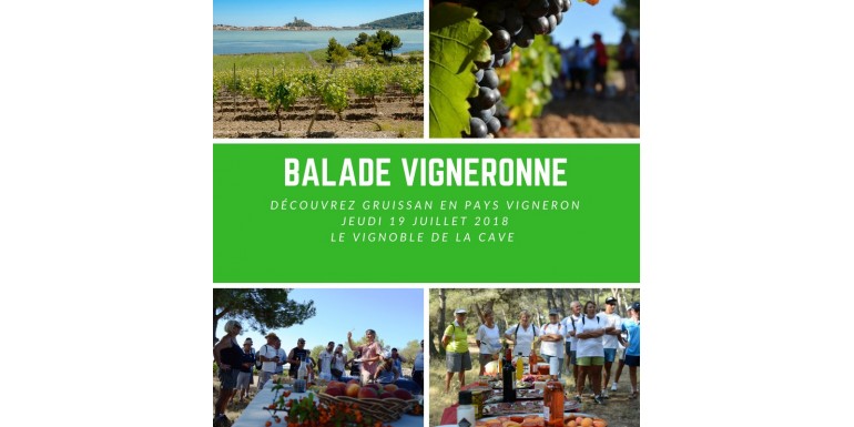 Balade Vigneronne Office de Tourisme de Gruissan