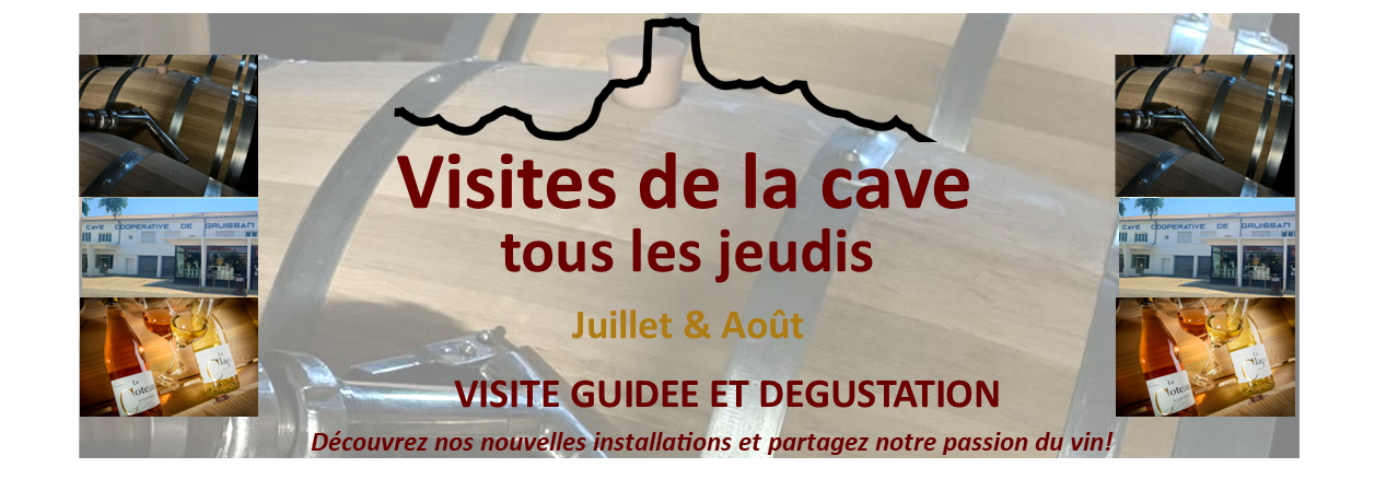 Visites de la Cave de Gruissan